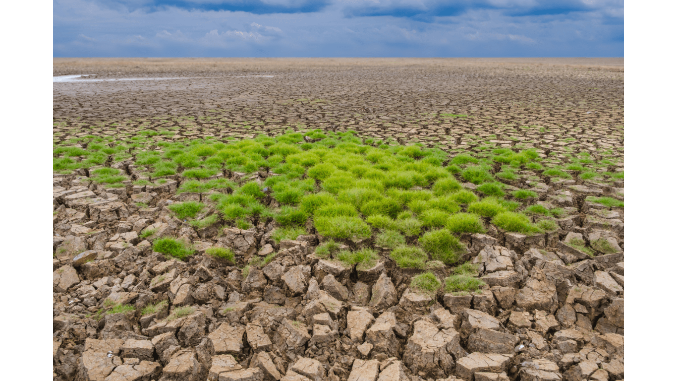 Unveiling the Science Behind Rising Temperatures and Climate Change