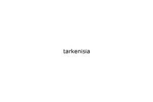 tarkenisia