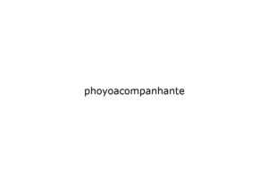 phoyoacompanhante