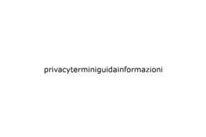 privacyterminiguidainformazioni