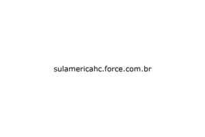 sulamericahc force com br