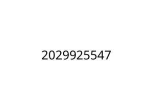 2029925547