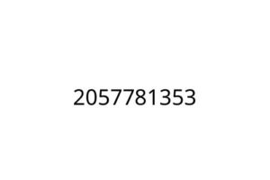 2057781353