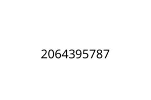 2064395787