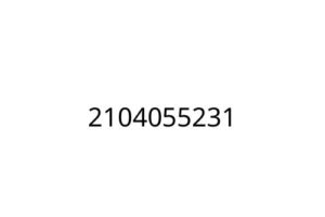 2104055231