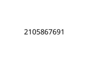 2105867691