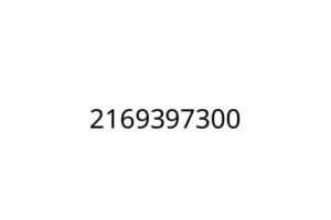 2169397300