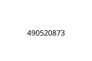 490520873