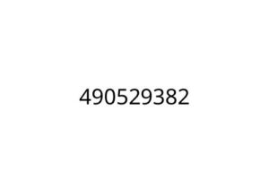 490529382