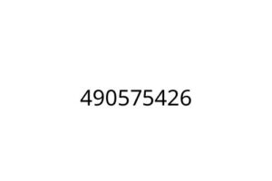 490575426