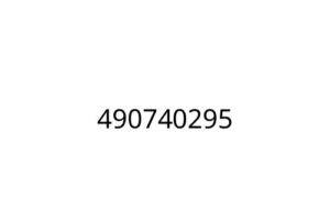 490740295