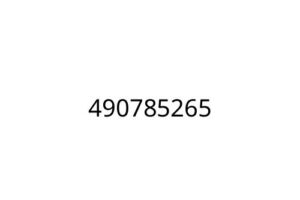 490785265
