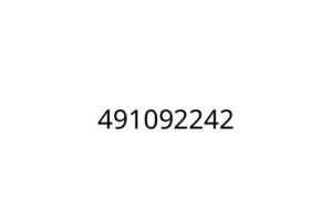 491092242