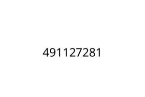 491127281
