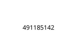 491185142