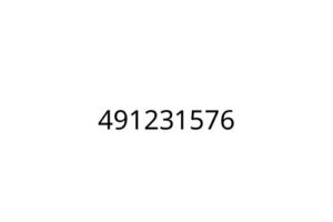 491231576