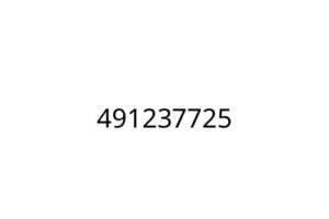 491237725