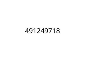 491249718