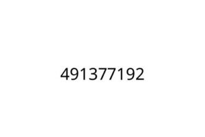 491377192