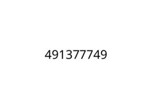 491377749