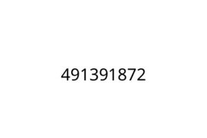 491391872