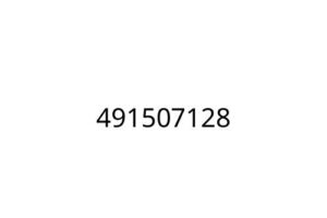 491507128