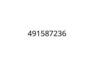 491587236