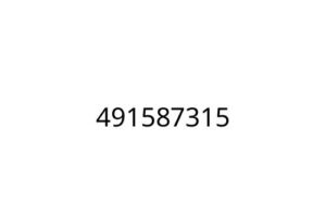 491587315