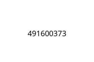 491600373