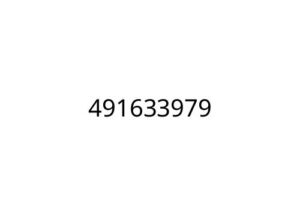 491633979