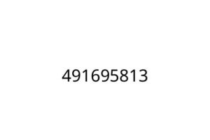 491695813