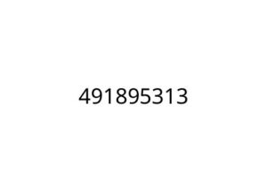 491895313