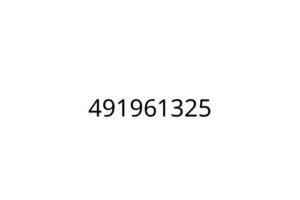 491961325