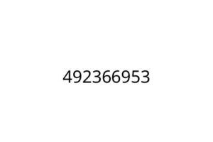 492366953
