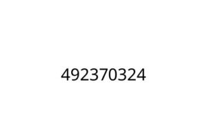 492370324