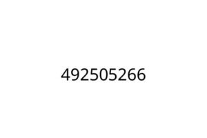 492505266