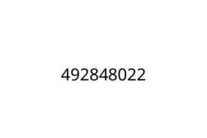 492848022