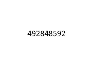 492848592
