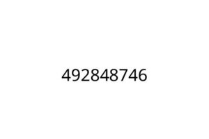 492848746