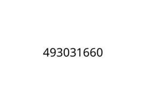 493031660