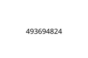 493694824