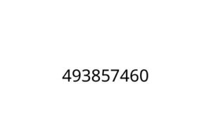 493857460