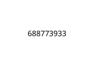 688773933