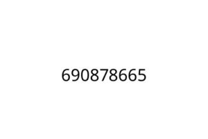 690878665