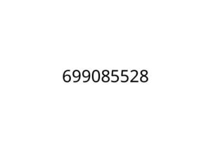 699085528