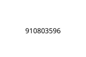 910803596