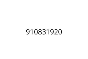 910831920