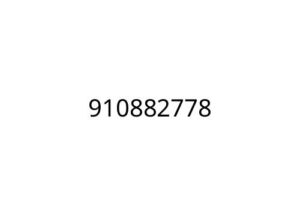 910882778
