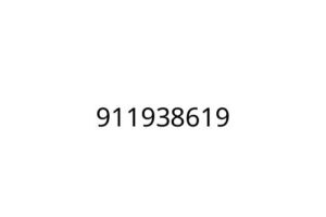 911938619