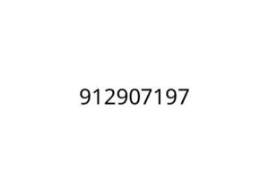 912907197